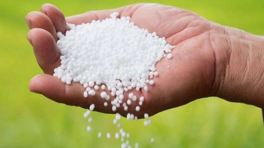 Sale of urea phosphate at Farjad Gostar Medical Pharmacy Sale of urea phosphate at Farjad Gostar Medical Pharmacy