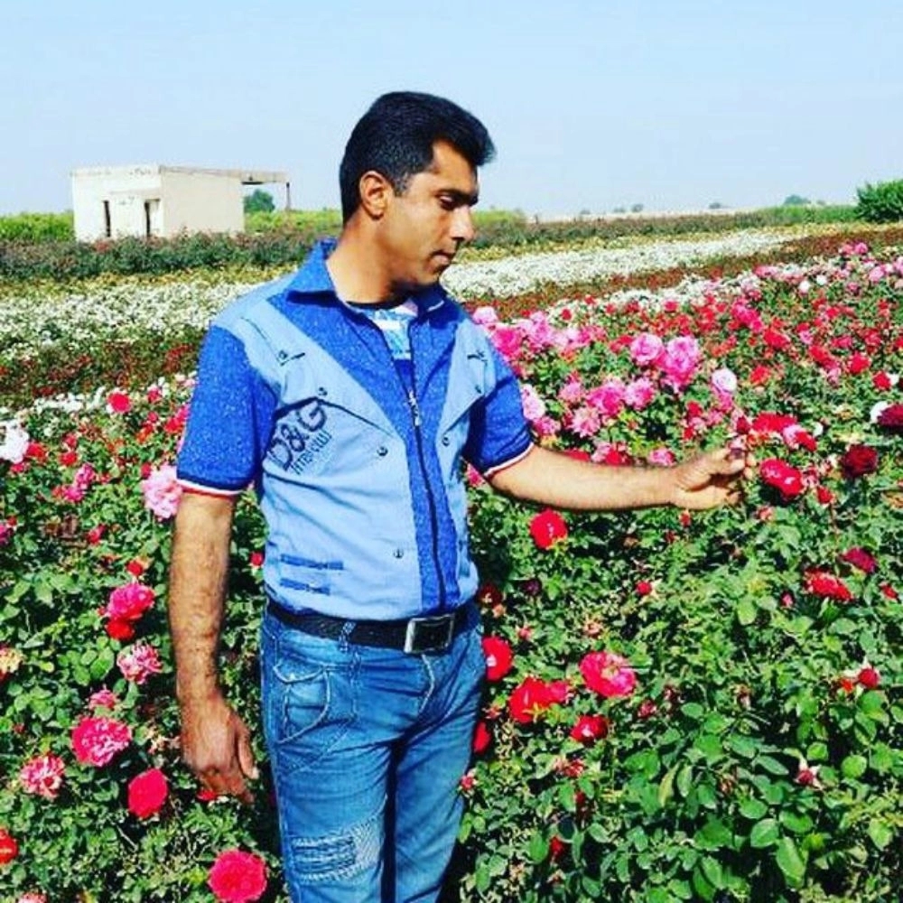 نهالستان الماس جنوب