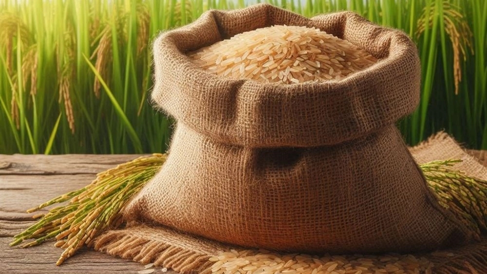 Rice first cultivation of Tarom and Hashemi Fereidunkar; Why is Organic Market the best choice for northern rice online?
