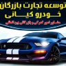 تطوير تجارة رجل الأعمال في كياني ، استيراد صادرات السيارات في Hormozgan