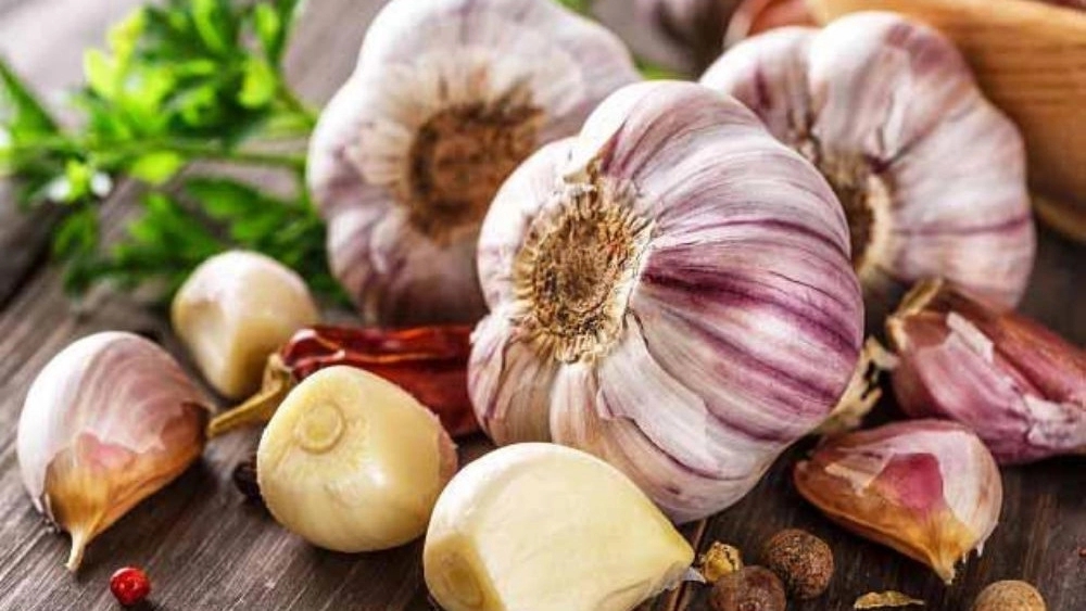 Alvand Patrol, Garlic Provider and Garlic Derivative in Hamadan