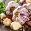 Alvand Patrol, Garlic Provider and Garlic Derivative in Hamadan