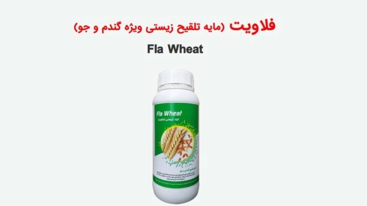Flavit