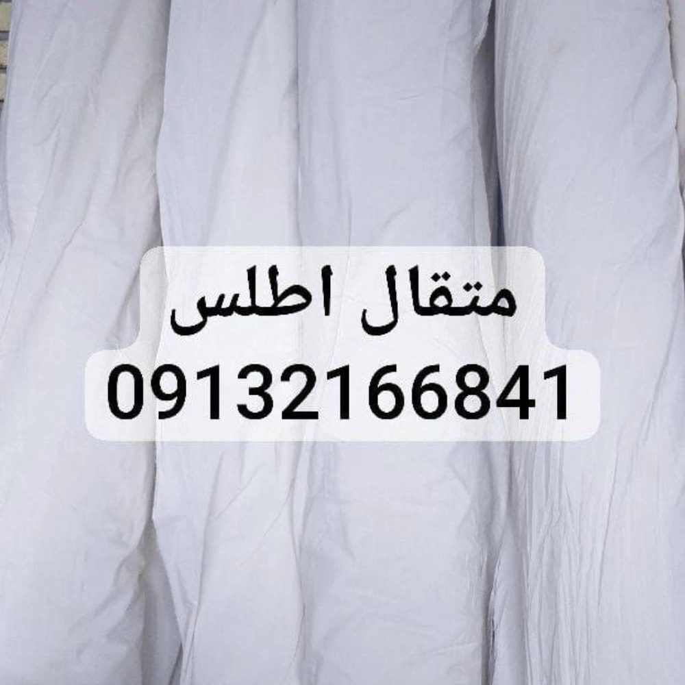 1764829208786.webp
