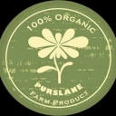 Purslane store, production and sale of all kinds of pickles, salt, jams and homemade pastes in Esfarayen