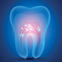Shahid Dentistry, Andisheh, Tahran'da ortodonti ve diş cerrahisi hizmetleri sağlıyor