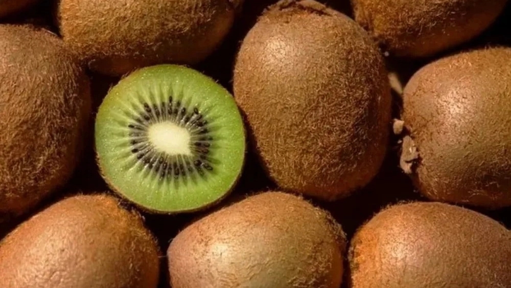 Kiwi export price and purchase conditions