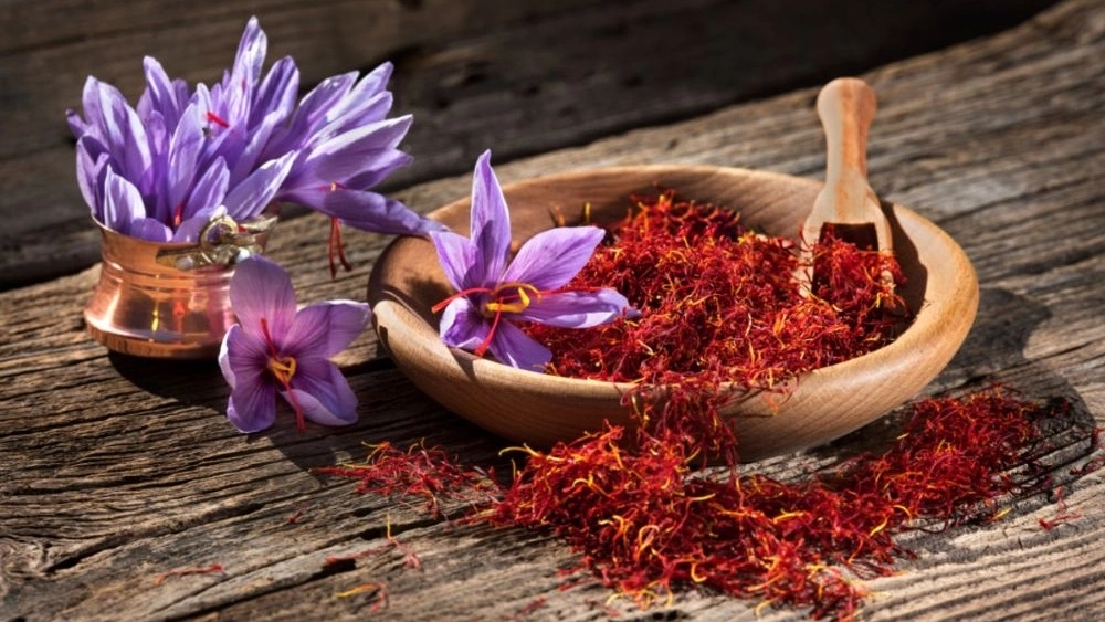 Bedakht saffron, production and sale of original saffron in Gonabad