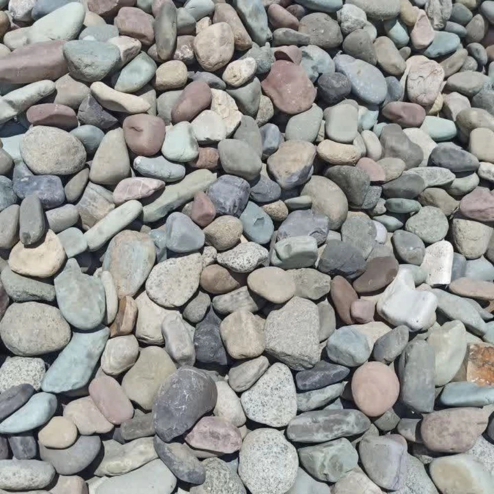 1771244841691.webp