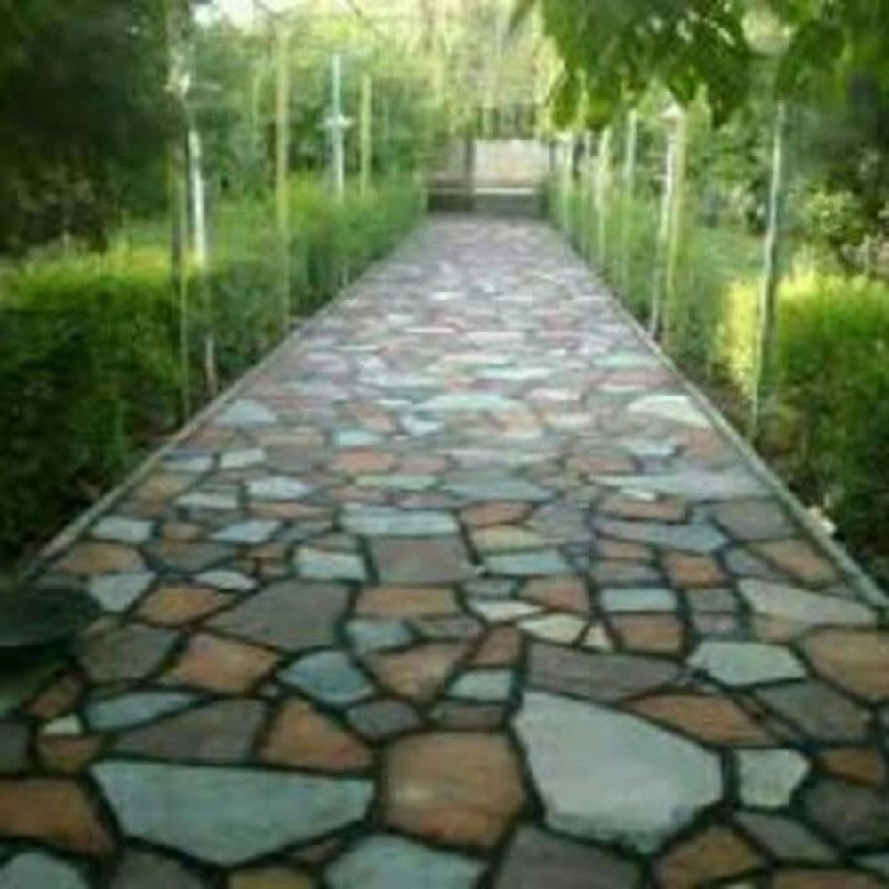1771244862067.webp
