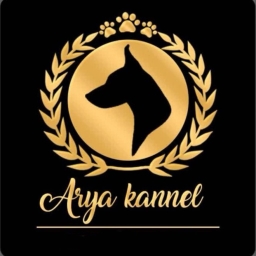 اريا بيت الكلب