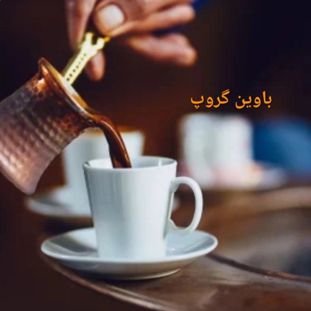 باوین گروپ