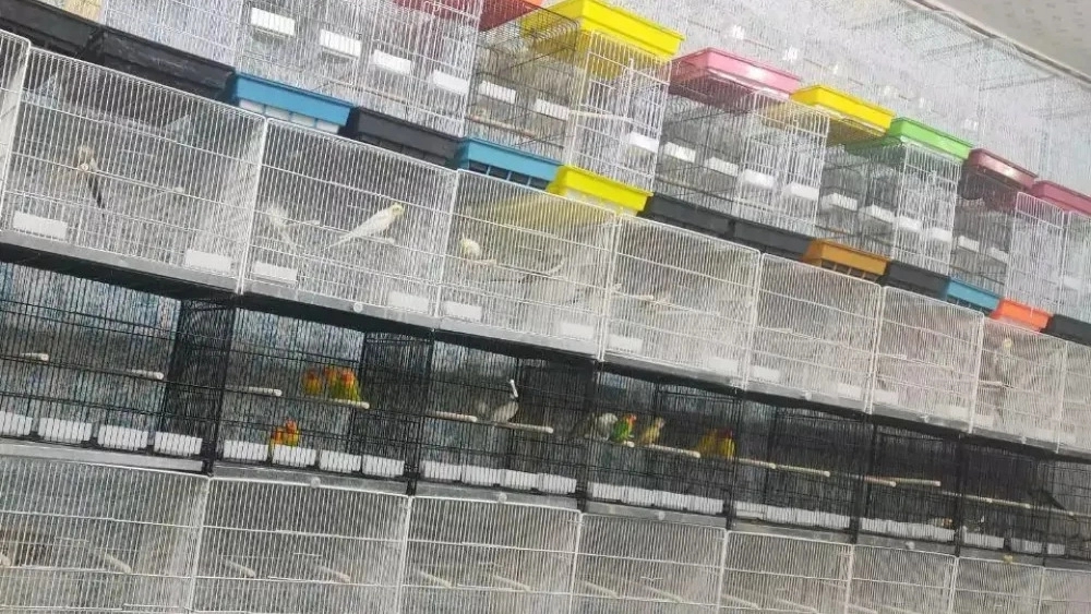 The best pigeon cage sales center in southeast of Tehran