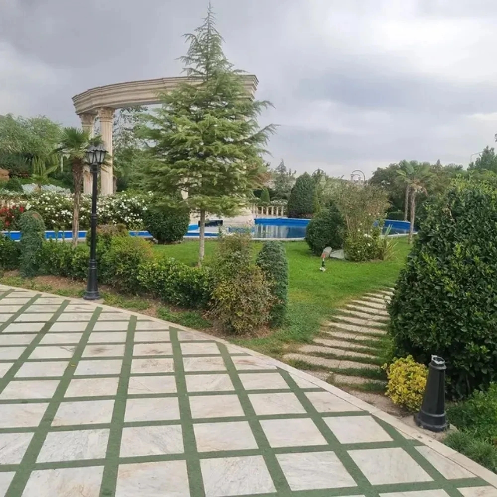 1781080611332.webp