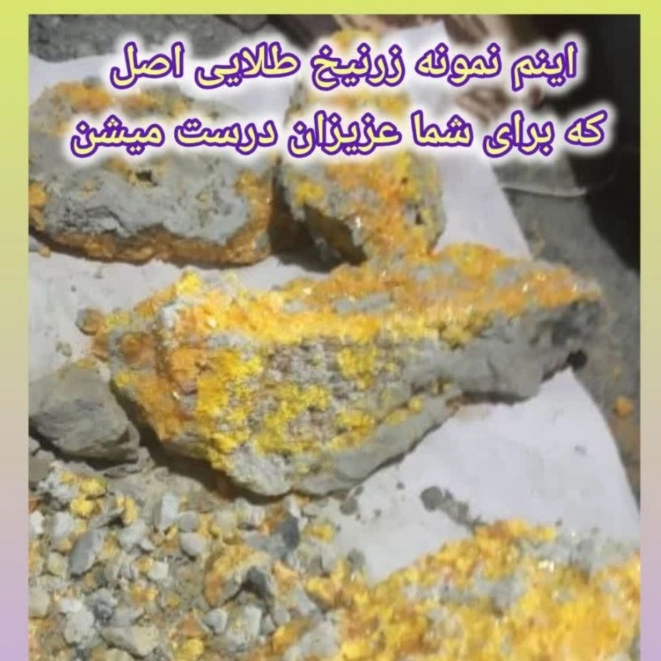 1781351462006.webp