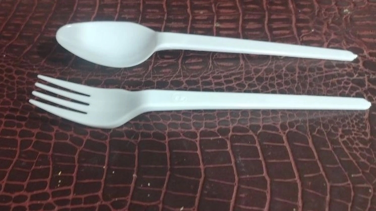 The best producer of disposable dishes in Tabriz