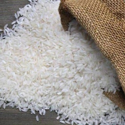 Shaline Trade
