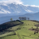 Semnan'da Pedersalar Opert residence, villa ve süit kiralama
