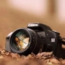 Photographer Sagar Heydarzadeh