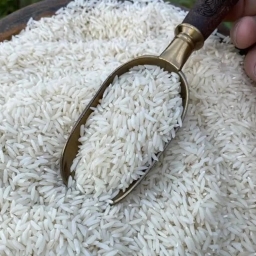 Razavi kuru meyve