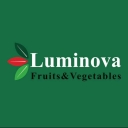 Luminova Trading, export of agricultural products of lettuce, cabbage and celery in Karaj