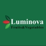 Luminova Trading, export of agricultural products of lettuce, cabbage and celery in Karaj