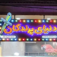 World of birds store