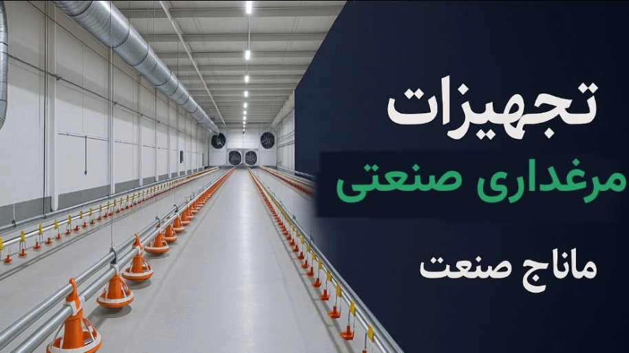 Industrial poultry farming equipment in Kohgiluyeh and Boyer Ahmad