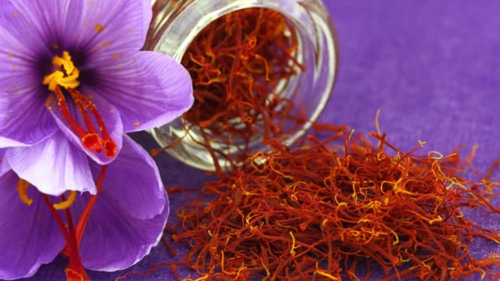 Banu Marja store for buying original saffron from Torbat Heydarieh Banu Marja store for buying original saffron from Torbat Heydarieh
