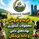 حدادي للخدمات الزراعية وشراء المنتجات الزراعية ومدخلات الثروة الحيوانية في كوهدشت
