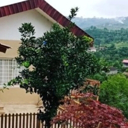 Meşhed ahşap kulübesi