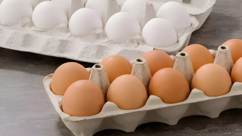 Profitability of egg comb production with Shah Sanam dairy containers
