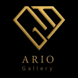 Areo Gallery Store