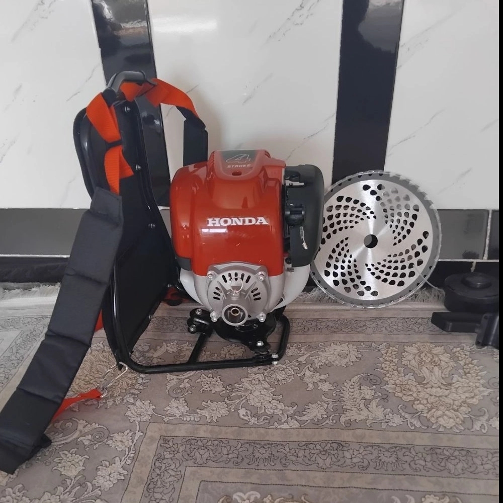 1787897198823.webp