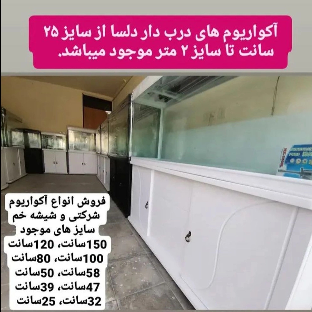 1788337452591.webp