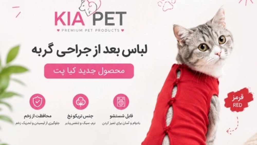 Kedi kıyafetleri ve havlu satın alma rehberi