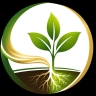 شركة ارماد