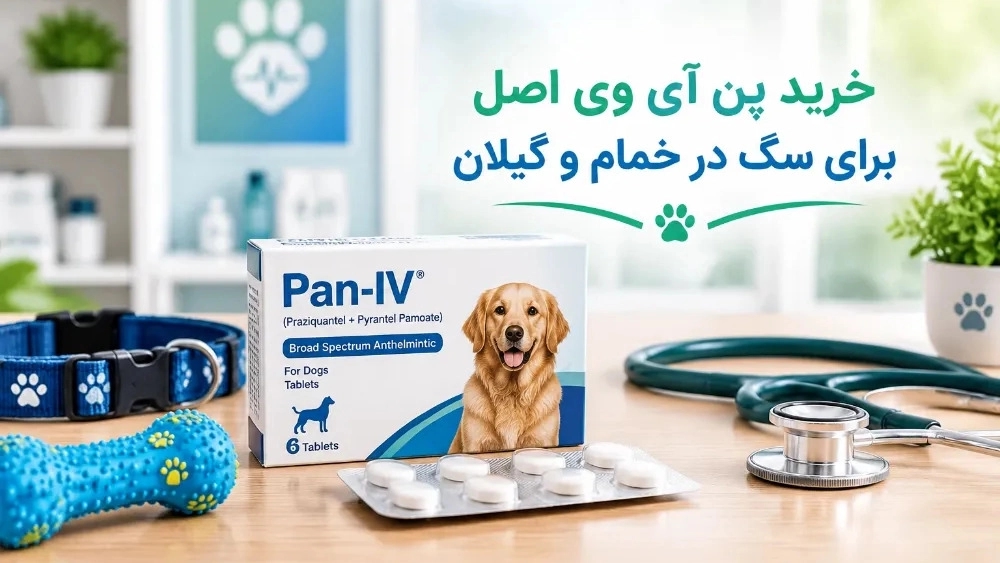 شراء القلم الوريدي الأصلي للكلاب في ضواحي خمام وجيلان شراء القلم الوريدي الأصلي للكلاب في ضواحي خمام وجيلان
