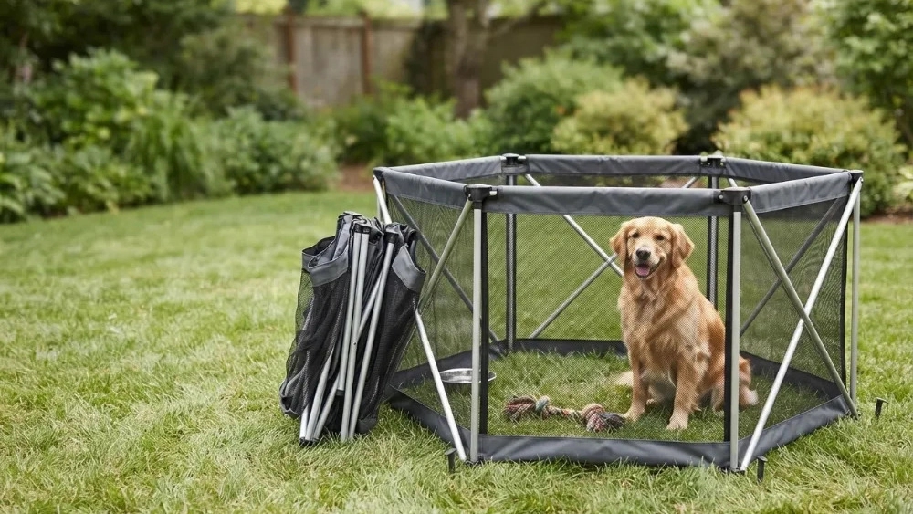 The best folding dog park for wet environments