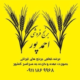 Ahmedpur store