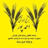 Ahmedpur store