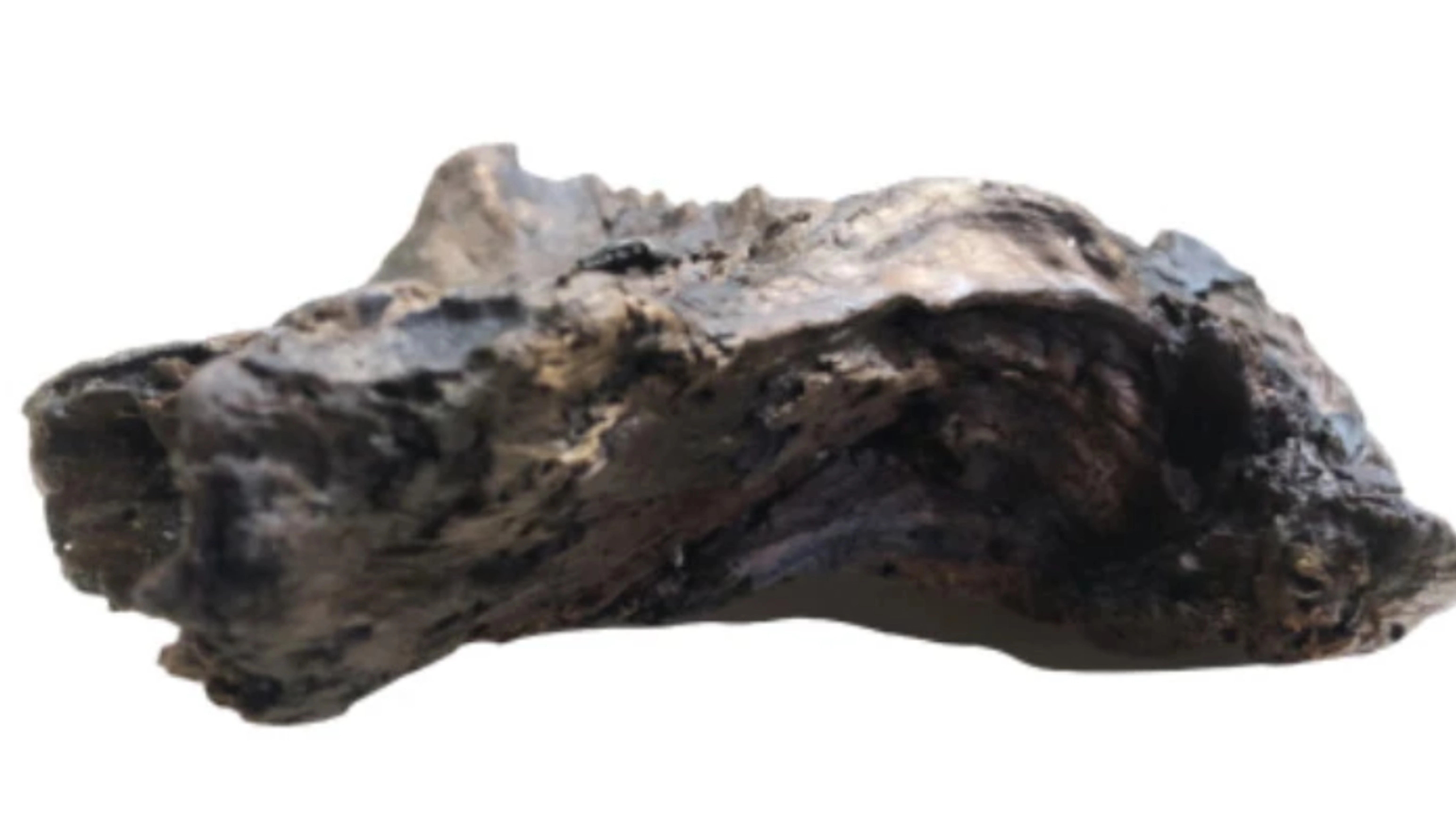تنه درخت تزیینی مدل wood1