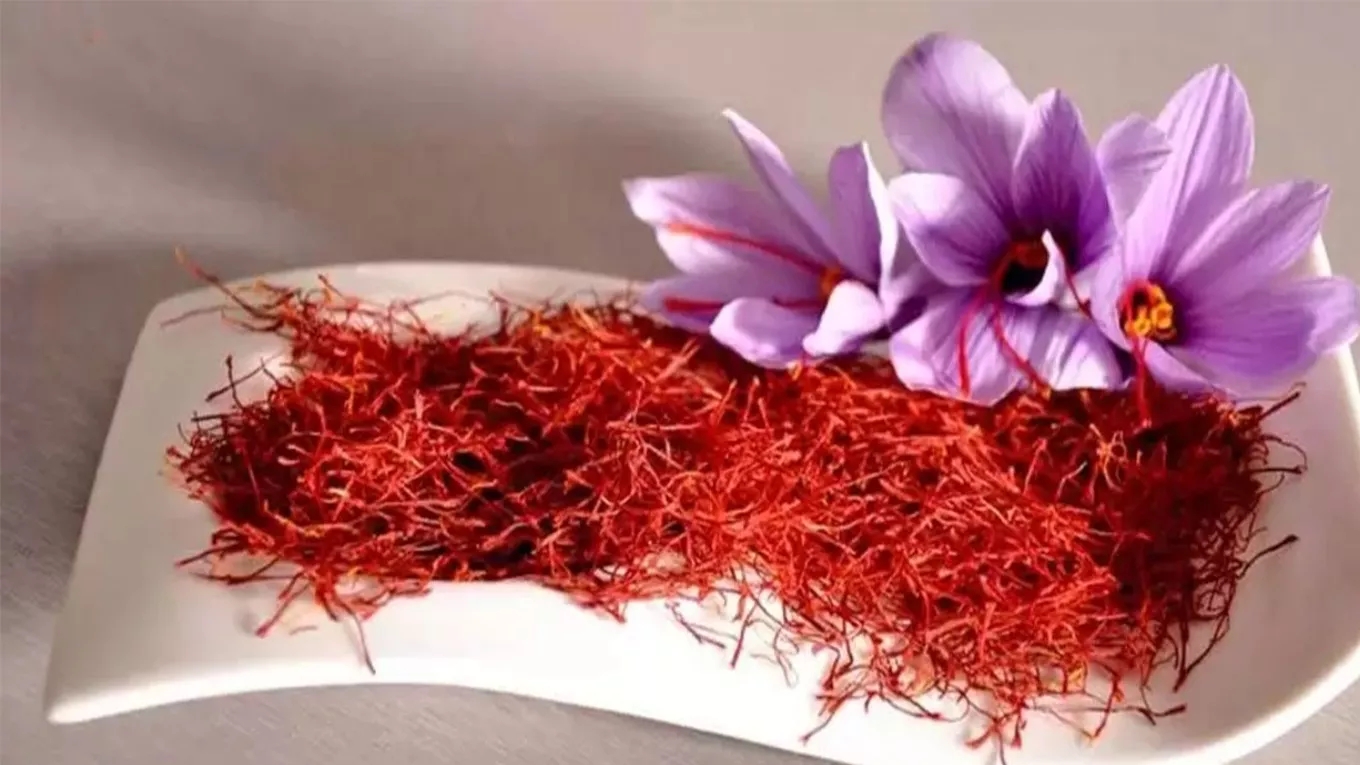 Narin saffron export company, Spadana trade in Nain