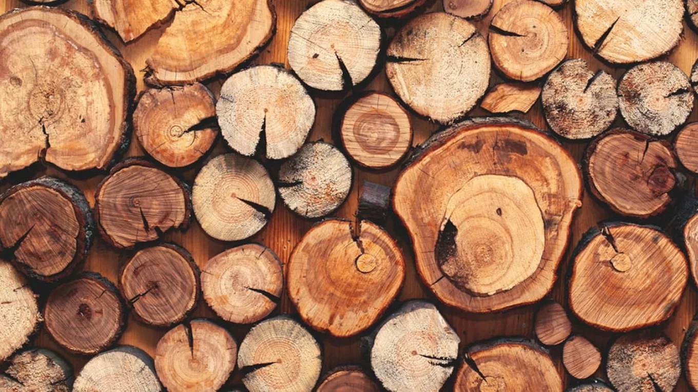 Kode Farhamand wood in Tehran