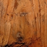 Kode Farhamand wood in Tehran