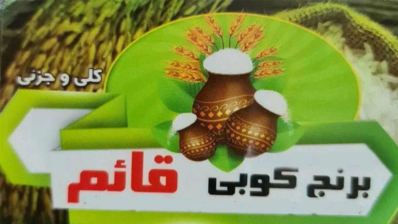 Kobi Ghaem rice in Khuzestan