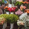 Sunflower flower shop in Rasht