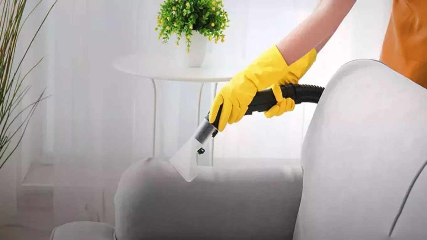 Spring sofa washing in Ramsar