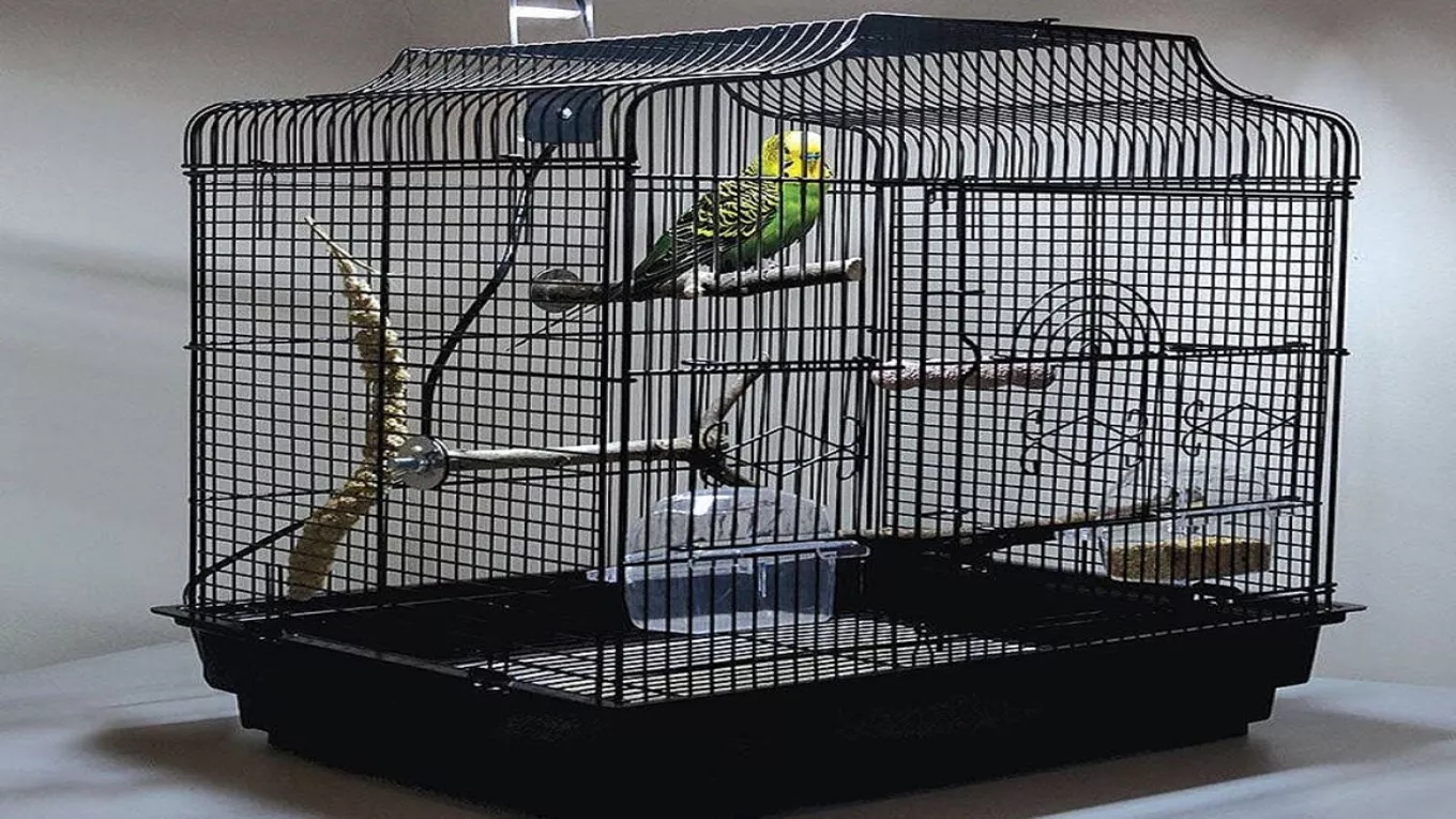 A store of cages and accessories and Kasri bird feeders in Karaj