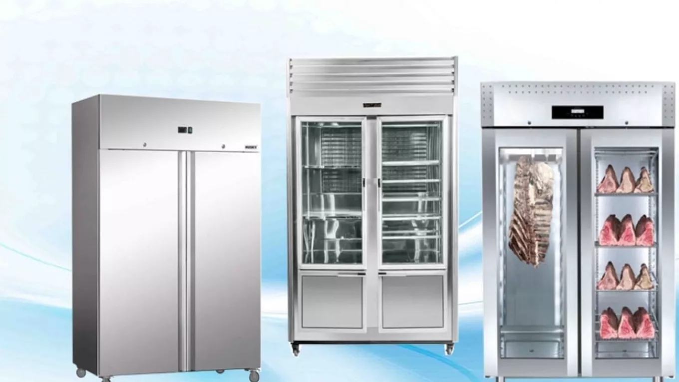 Freezing Thermal Refrigeration Industrial Group